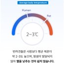 봉구의간식남양주 - 남양주시 별내중앙로 53 | 봉구의간식남양주
