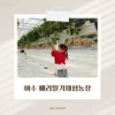 차차농장 | 여수 실내가볼만한곳 | 딸기따기체험 | 여수베리딸기체험농장 | 30개월아기와 7개월아기 체험후기