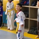 서초용인대태권도 이미지