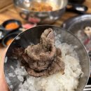 강릉 고깃집 후기 | 소고기 무한리필 로컬 고기 맛집 장어훔친소도둑