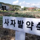 산애들애팜 - 중랑구 | 산애들애팜