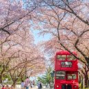 신례동로 이미지