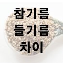 참기름 들기름 차이와 효능 및 보관법 이미지