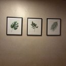 골드장여관 이미지