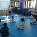 조한태권도장 이미지