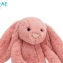 바니베어뮤지엄 이미지