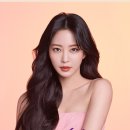 거부기헤어