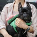 서울예대 연기과, 홍익대학교 뮤지컬, 한양대학교, 세종대학교 최종 합격 후기 (준비 기간 1년)