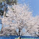 설봉주유소 이미지