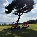 케이골프스쿨 이미지