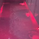 몽키즈풀빌라 이미지