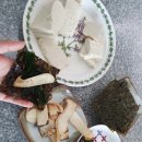 와쏘닭 네이버블로그