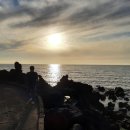 용수길 114 | 제주 서쪽 숙소 한적한 시골 마을을 느끼고 싶을 때 <용수길114 펜션>