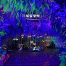 광명동굴 이미지