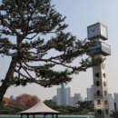 나인 스포렉스 이미지