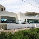 고성국화꽃향기 이미지