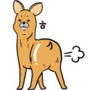 라인바이올린교습소