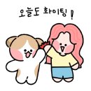 송이종합동물병원 네이버블로그