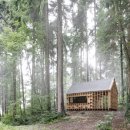 forest 이미지