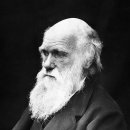 신이환경 이미지