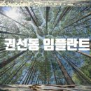 연세현플란트치과의원 네이버블로그