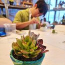 휘목미술관 | 전북 부안 마실상권 여행코스_다육이야기농원, 휘목미술관 투어후기
