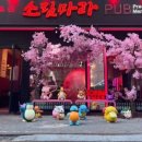 소림마라 - 춘천시 백령로138번길 40 | 소림마라