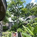 Stay Surin | 8월 해외여행 태국 푸켓 숙소 BEST8 신혼여행