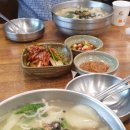 다전손칼국수 Daum카페