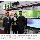 생생돈가스 이미지