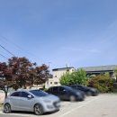 창녕시장 | [ 경남 창녕 ] 창녕전통시장 수구레국밥 맛집 내돈내산 후기 _ 삼오식당 창녕본점