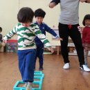 테트라곤