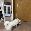저스트홀스 이미지