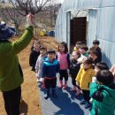 참조은어린이집 놀이터 이미지