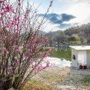 도장골낚시터 이미지