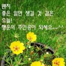 양지주간보호센터 네이버블로그