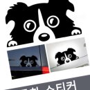 프리티도그