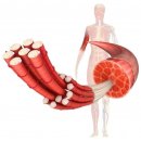 공덕인과한의원 이미지