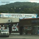 반딧불당구장 이미지