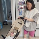 루나플래닛 | 작고 소중한 우리 아기를 위한 유모차, '잉글레시나 퀴드3'(루나베이지) 내돈내산 솔직후기