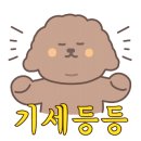 욜로PC까페 이미지