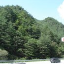 귀목이(고선주유소) Daum카페