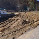 가자청주공인중개사사무소 이미지