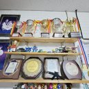 천마 태권스쿨 이미지