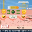 비타민 의료기 이미지