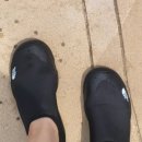 유니나래쉬
