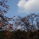 오대산펜션 이미지