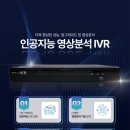 용인유도체육관 이미지