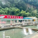 내린천광고 이미지