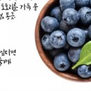 은파농장 이미지